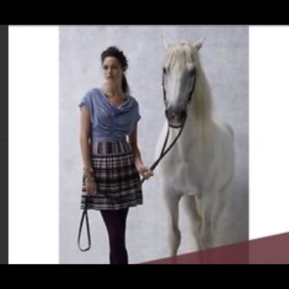 Anthropology stripy knit skirt xs